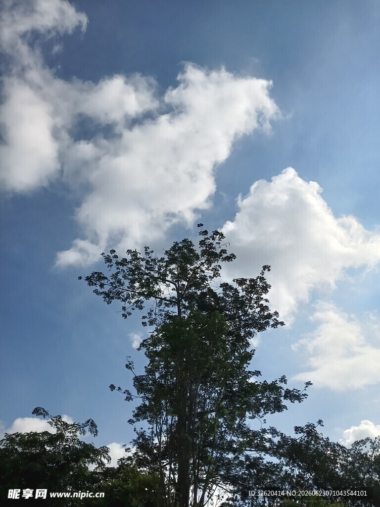 蓝天绿树间的美好景致