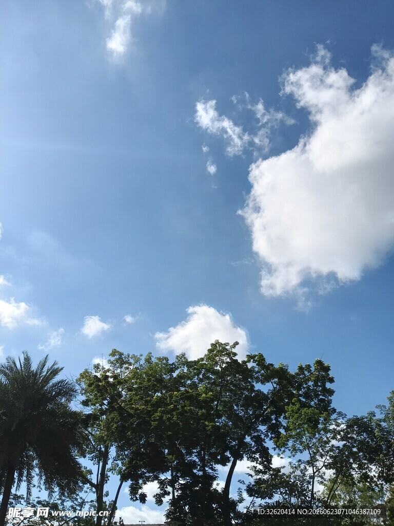 蓝天绿树间的清新景致