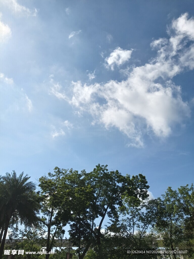 蓝天绿树风景图