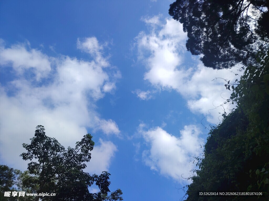 蓝天绿树间的白云美景