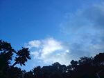 蓝天绿树间的光影美景