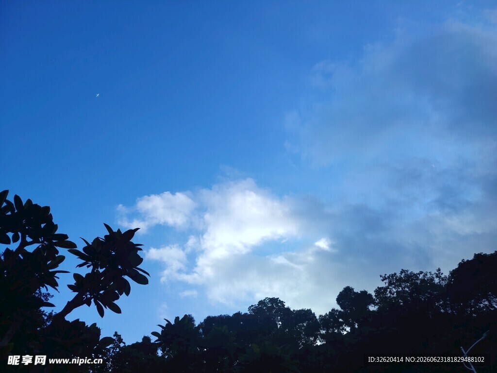 蓝天绿树间的光影美景