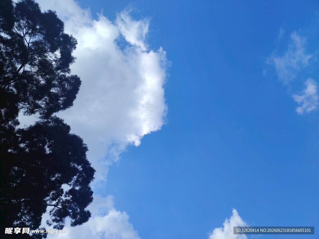 蓝天绿树间的白云美景