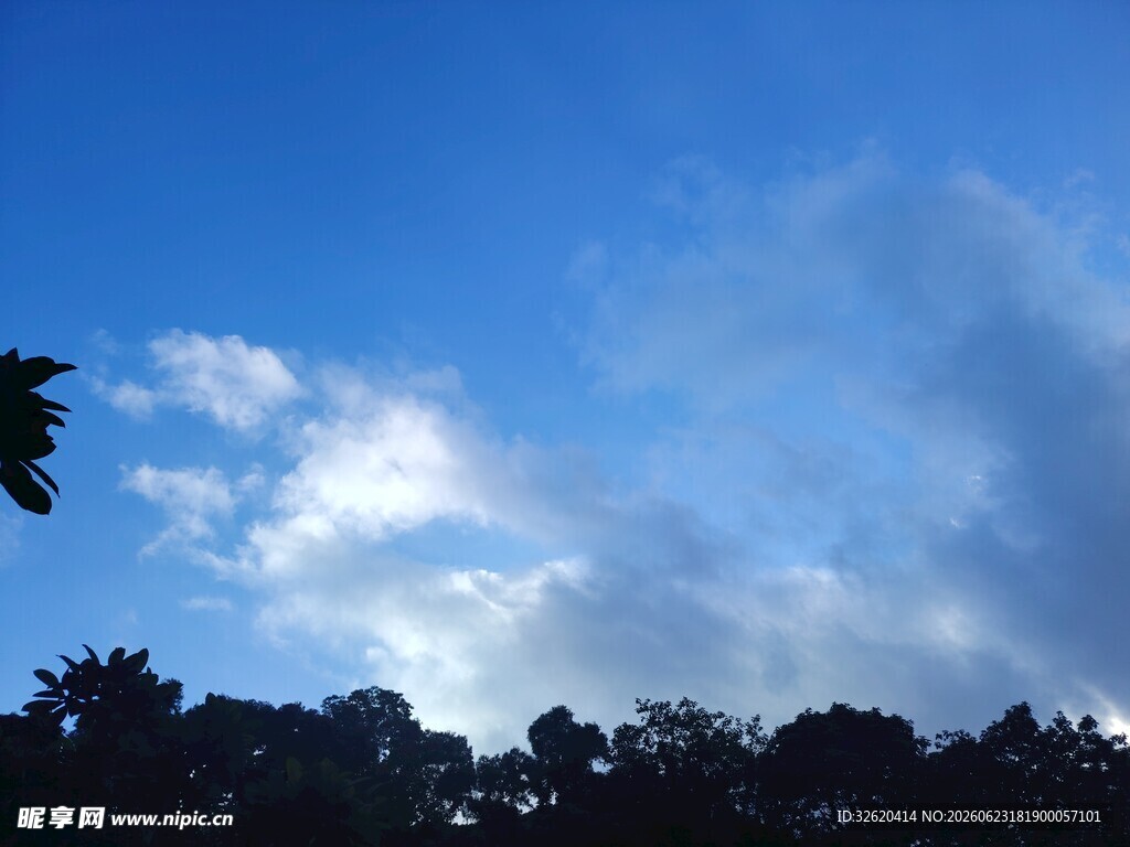 蓝天绿树间的白云美景