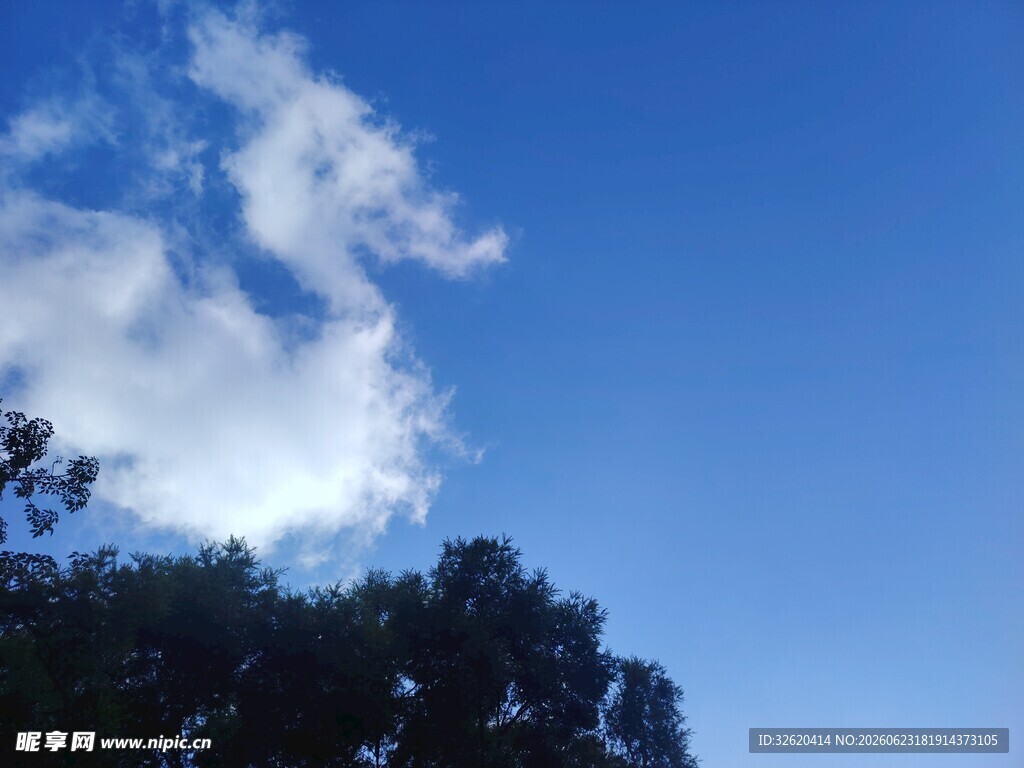蓝天绿树间的云朵美景