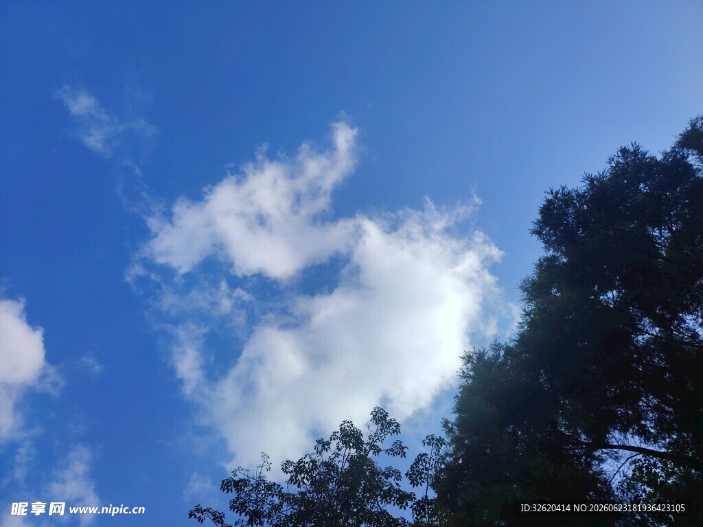 蓝天绿树间的白云