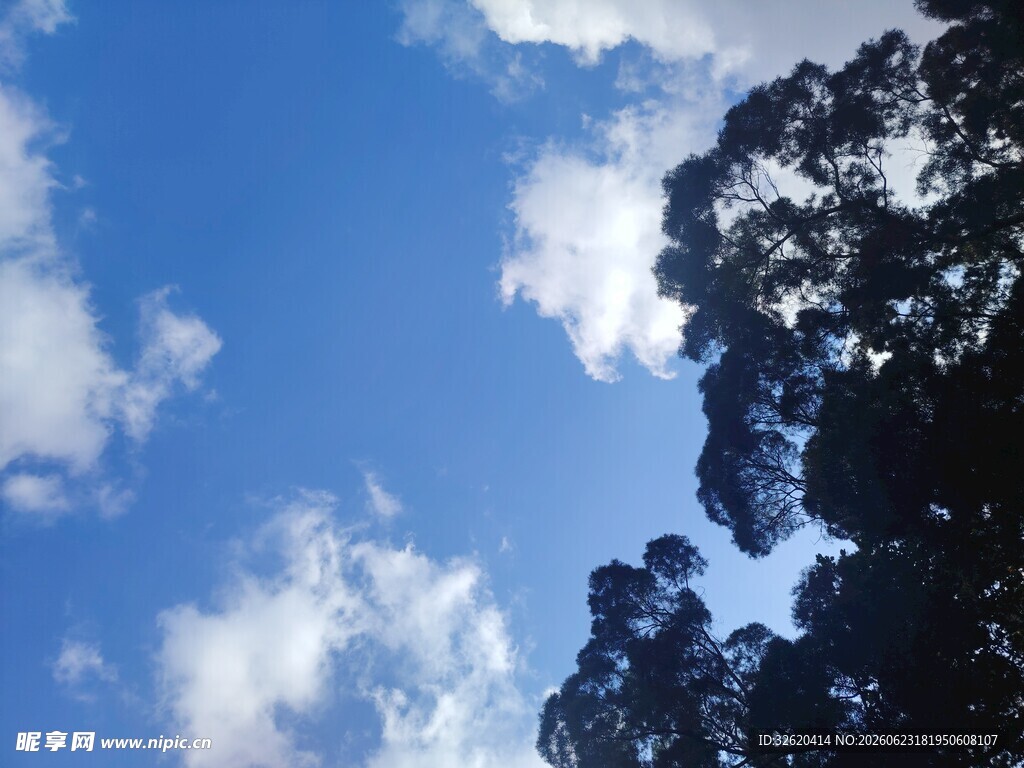 蓝天绿树间的白云景致