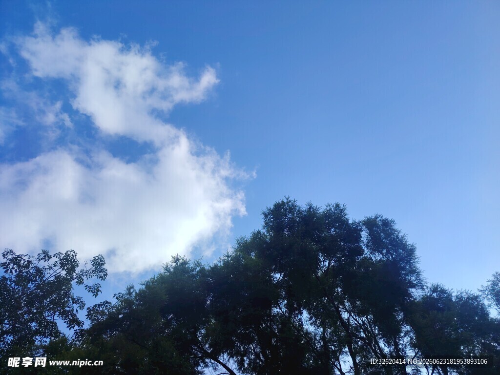 蓝天绿树间的美好景致