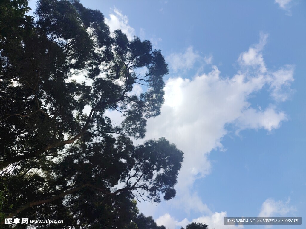 蓝天绿树间的清新景致