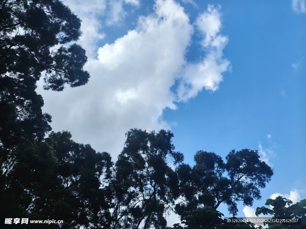 蓝天绿树间的美好景致