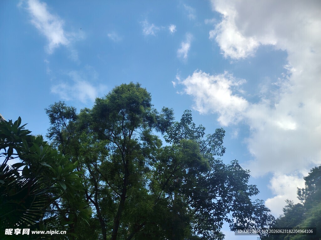 蓝天绿树间的清新景致