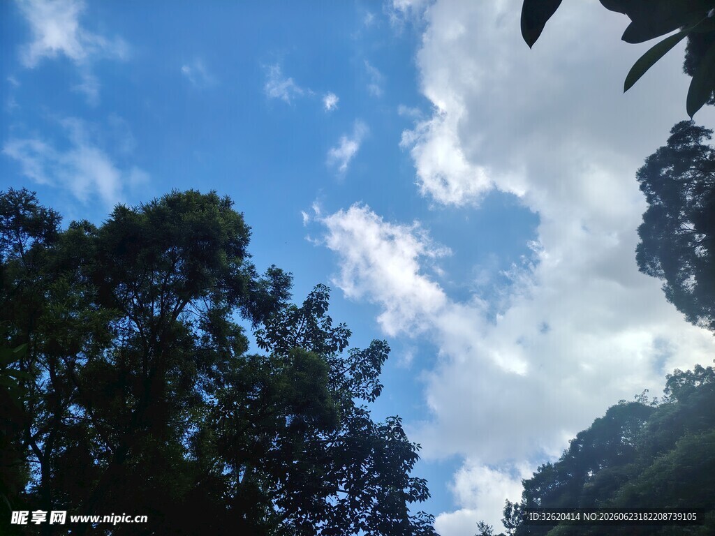 林间蓝天