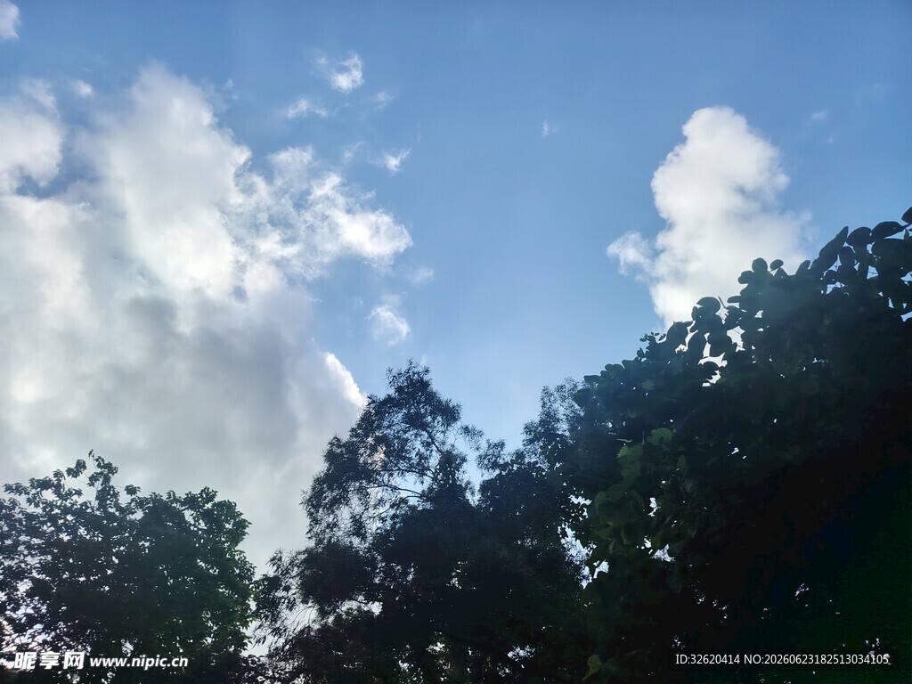 蓝天绿树间的白云景致