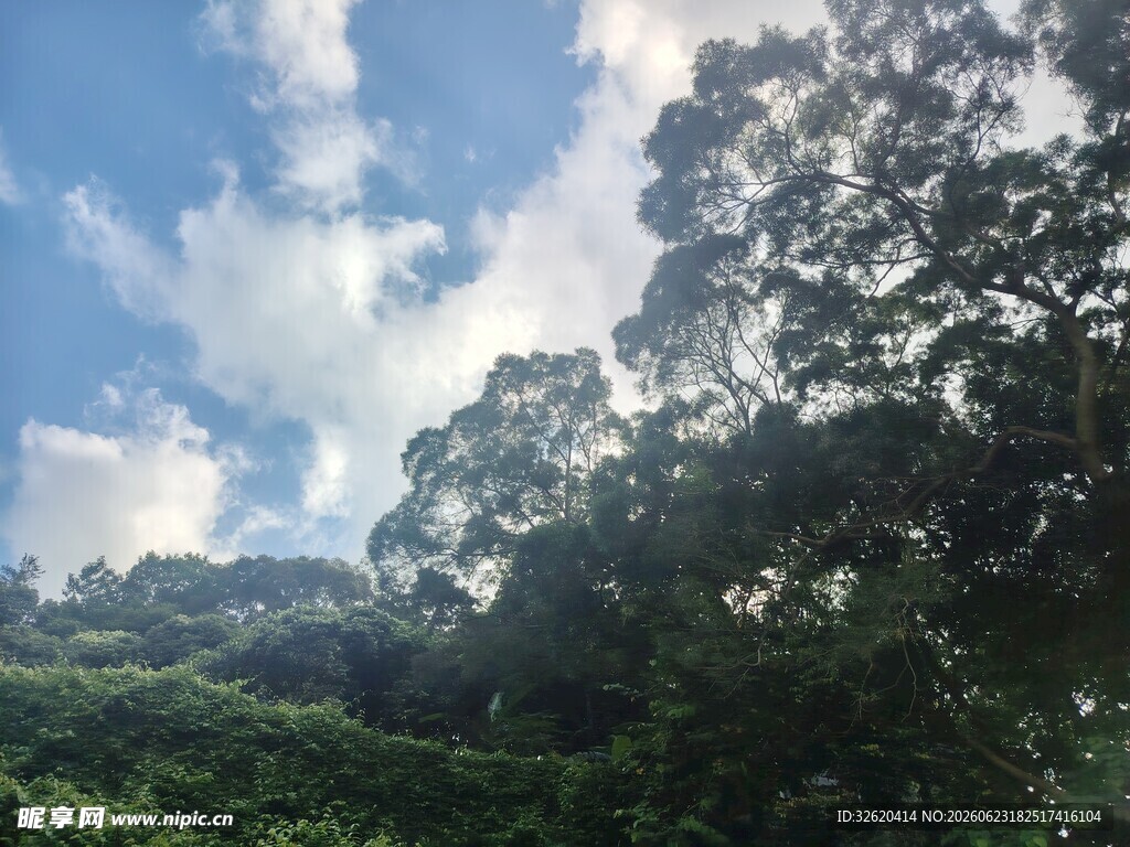 蓝天白云下的葱郁山林