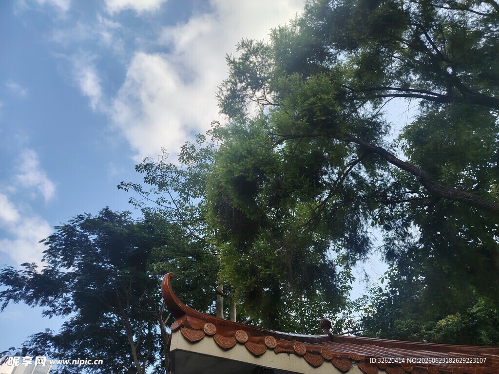 古建屋檐与葱郁树木