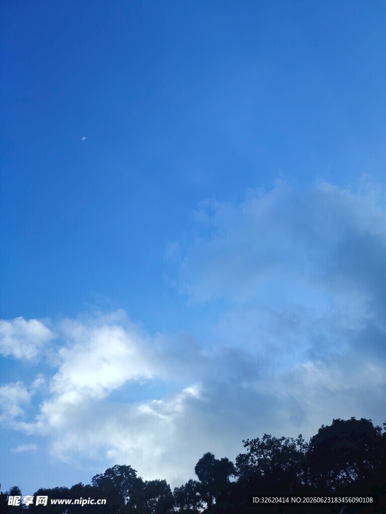 蓝天绿树间的白云景致