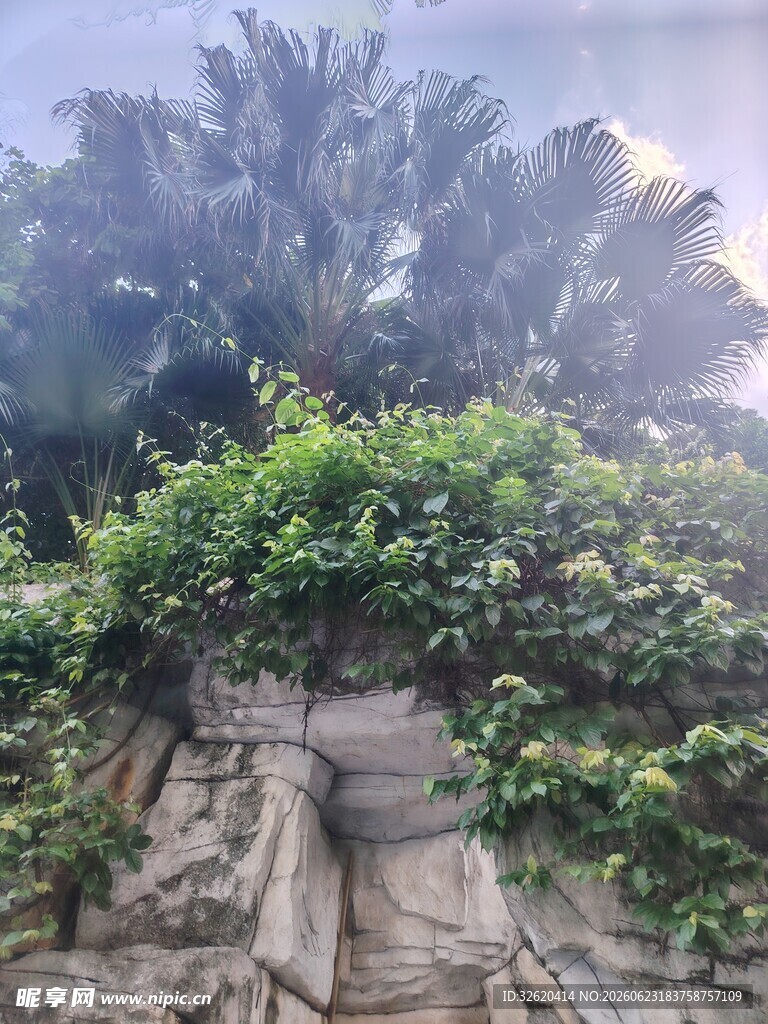 石墙绿植景观
