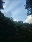 山林间的蓝天绿树景致