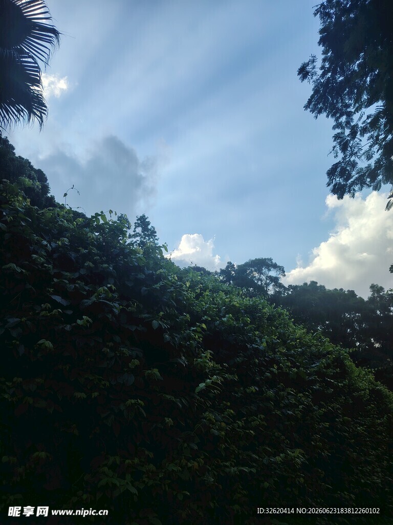 山林间的蓝天绿树景致
