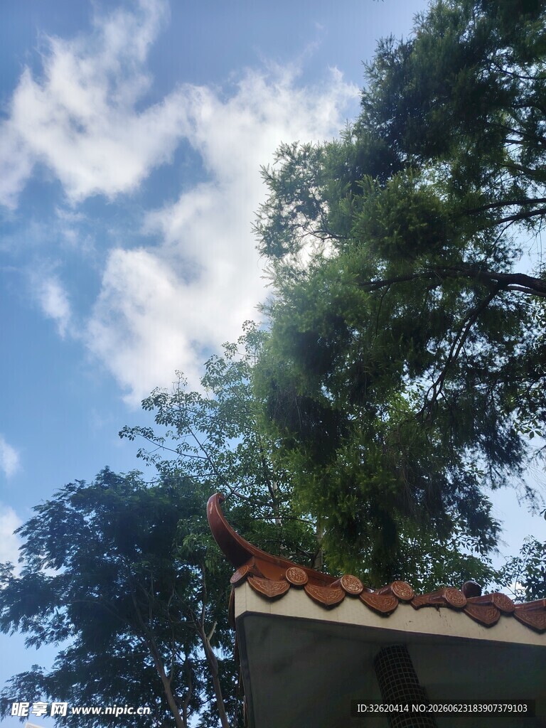 蓝天绿树映红瓦屋顶