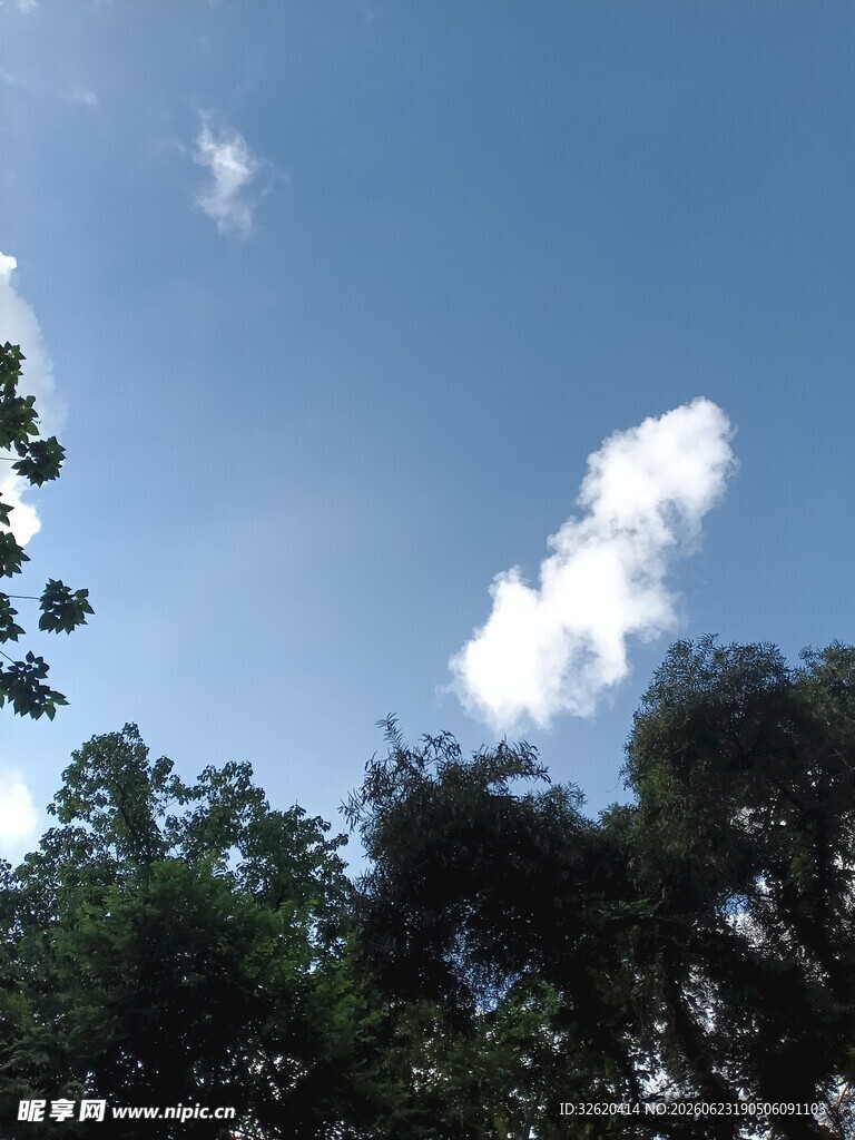 蓝天绿树间的白云