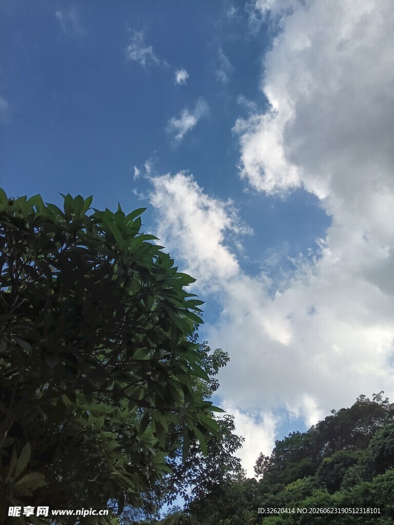 蓝天绿树间的白云美景
