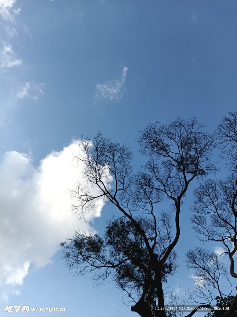 蓝天绿树间的白云景致