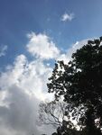 蓝天绿树间的白云美景