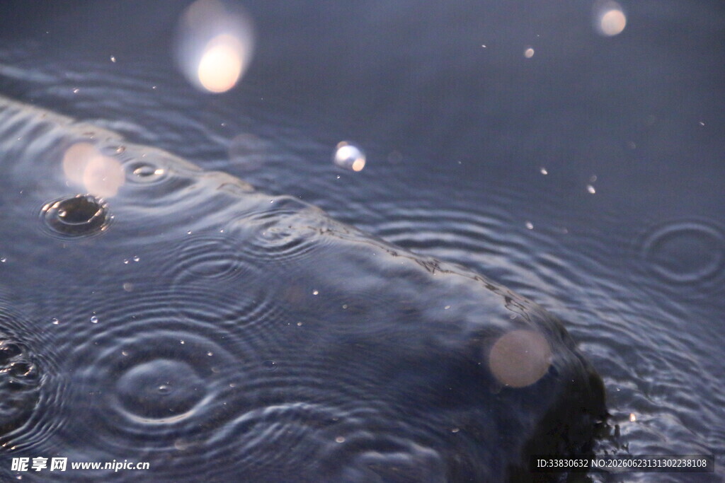 雨滴落入水面泛起涟漪