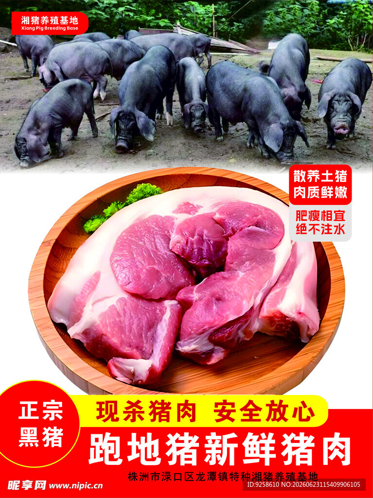 跑地猪新鲜猪肉展示