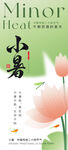 小暑时节荷花绽放图
