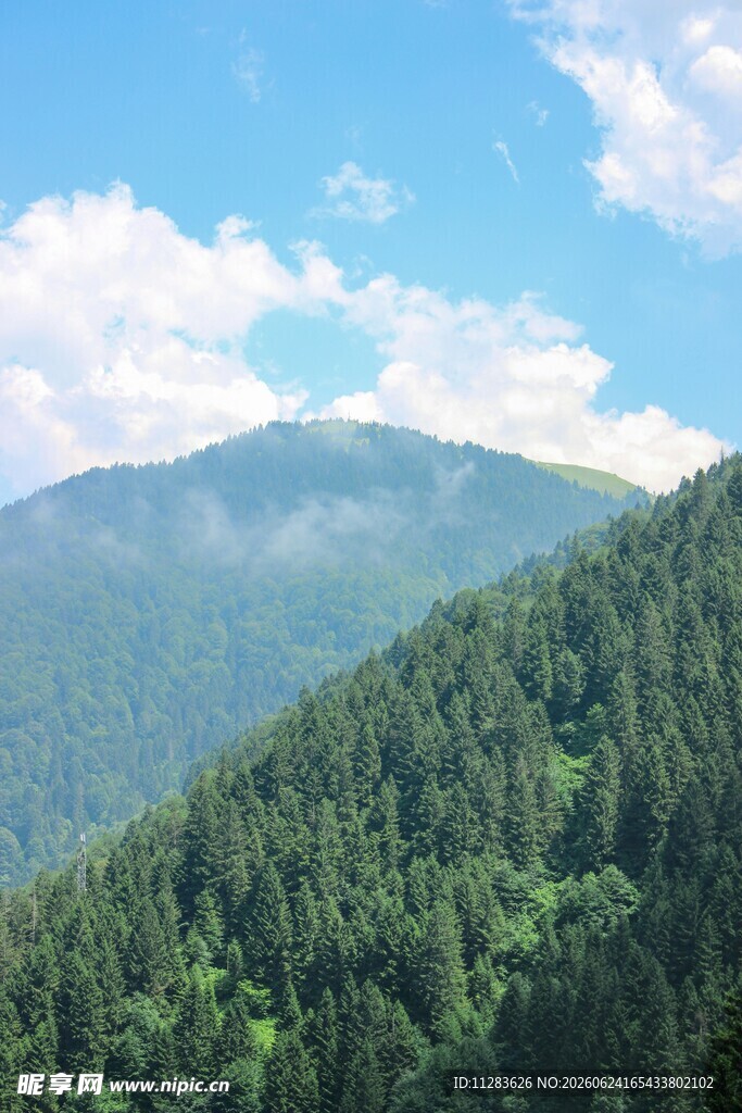 青山翠林映蓝天
