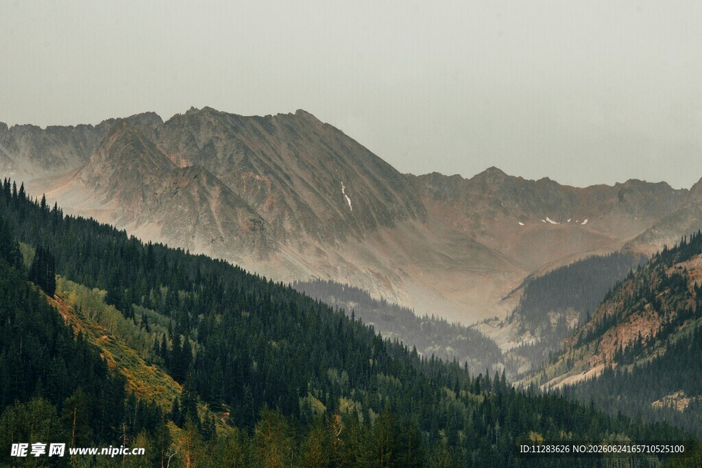 壮丽山峦间的葱郁山林