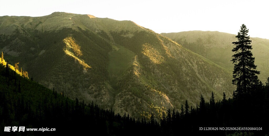 黄昏下的山林美景