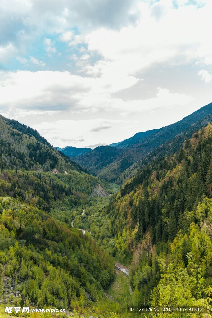 山间翠绿美景
