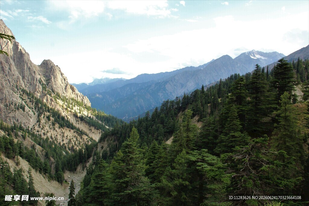 山间葱郁森林与巍峨山峦