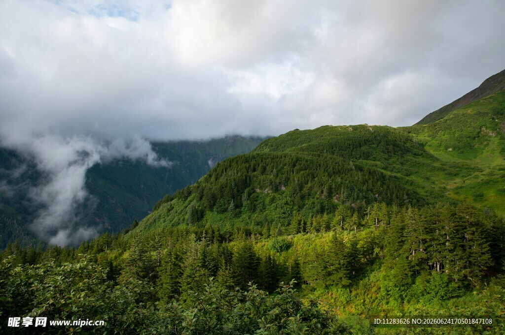 青山云雾间的自然美景