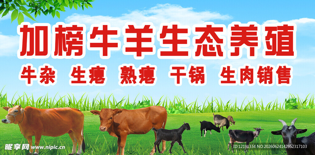 加硒牛羊生态养殖场景