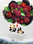 新鲜诱人的杨梅果实