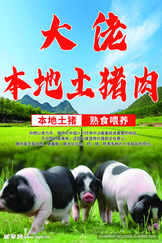 本地土猪肉宣传图