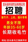 公司长期招聘收毛竹工