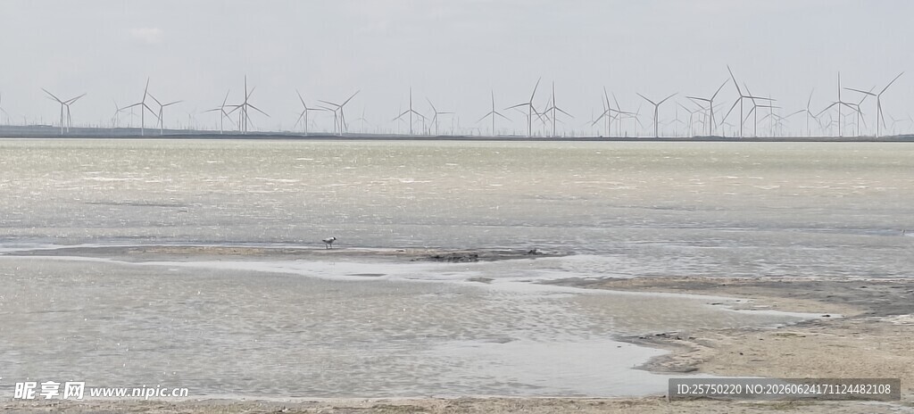 海边滩涂景象