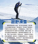越野滑雪冰雪背景海报展板