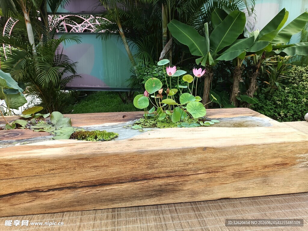 绿植花卉