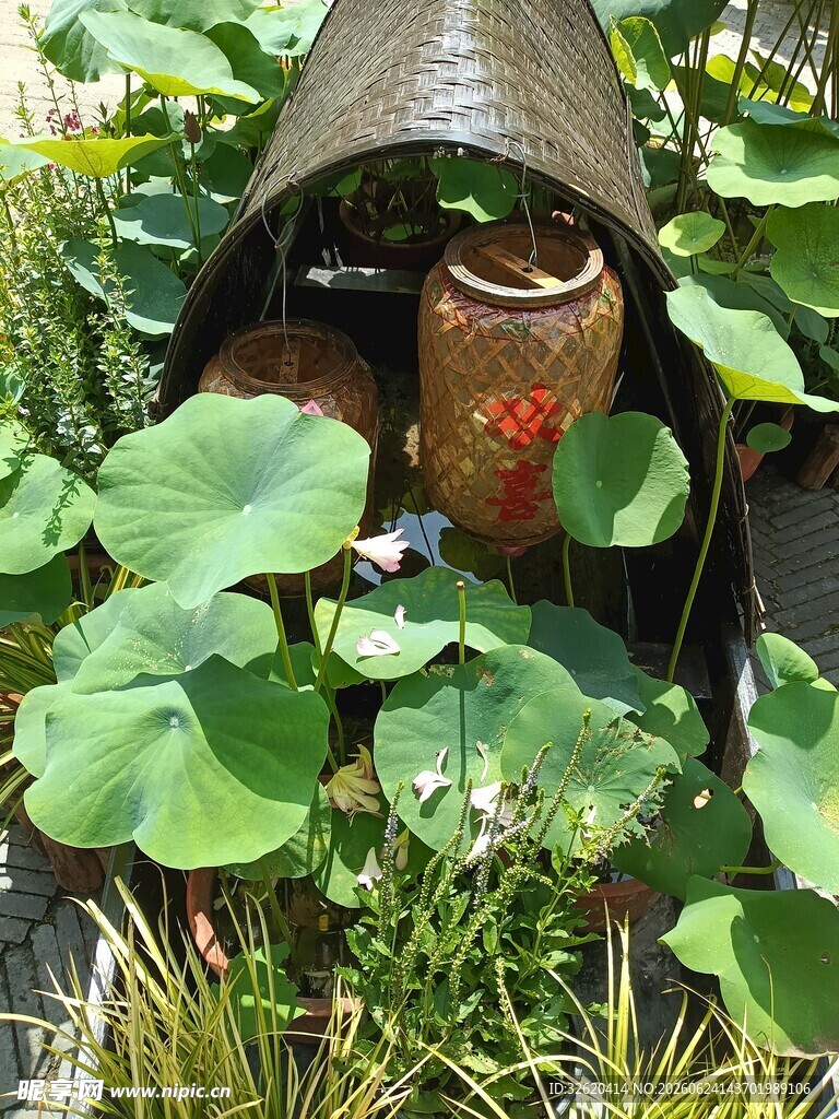 中式荷塘景观