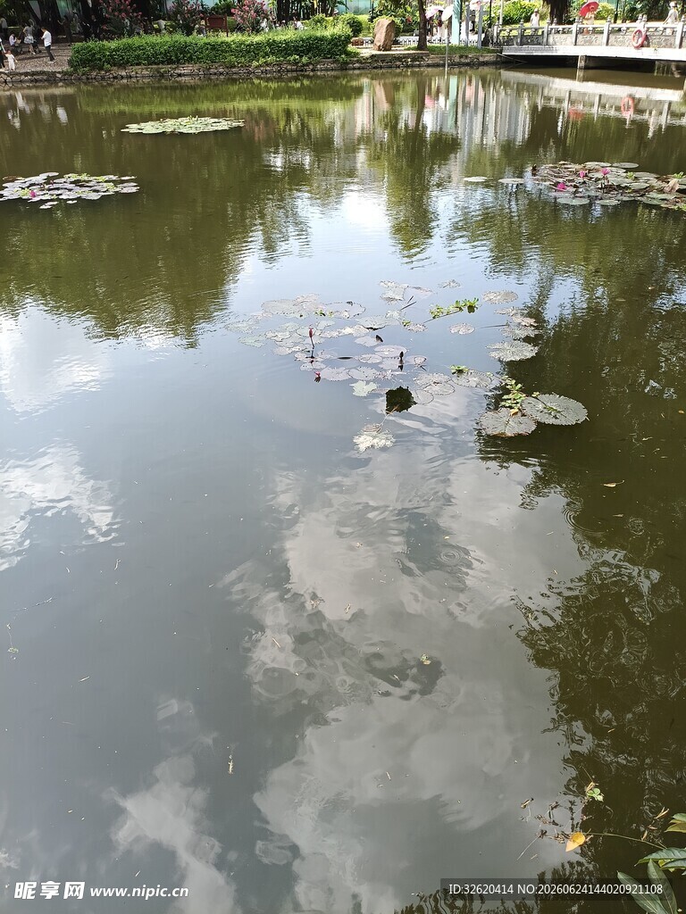 宁静池塘倒影如画