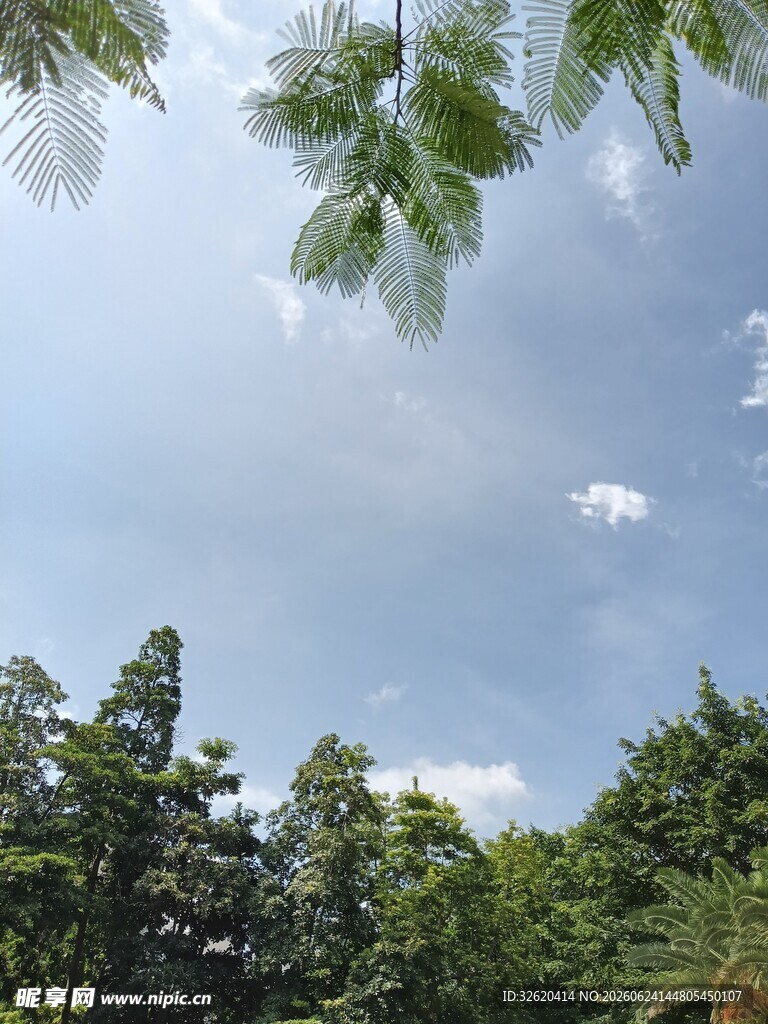 蓝天绿树间的清新景致