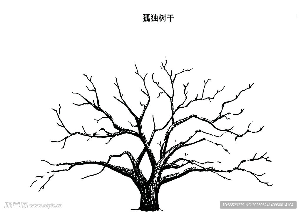 孤独枯树剪影
