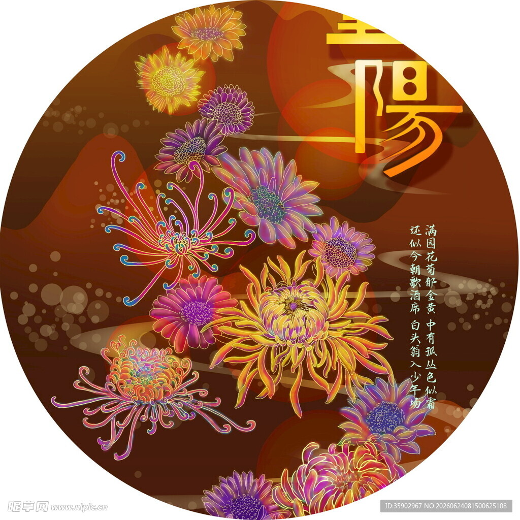 重阳佳节菊花绽放图景