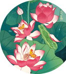 夏日荷花图